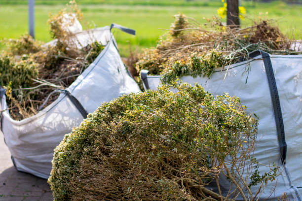 Best Appliance Removal Near Me  in Timberlake, VA